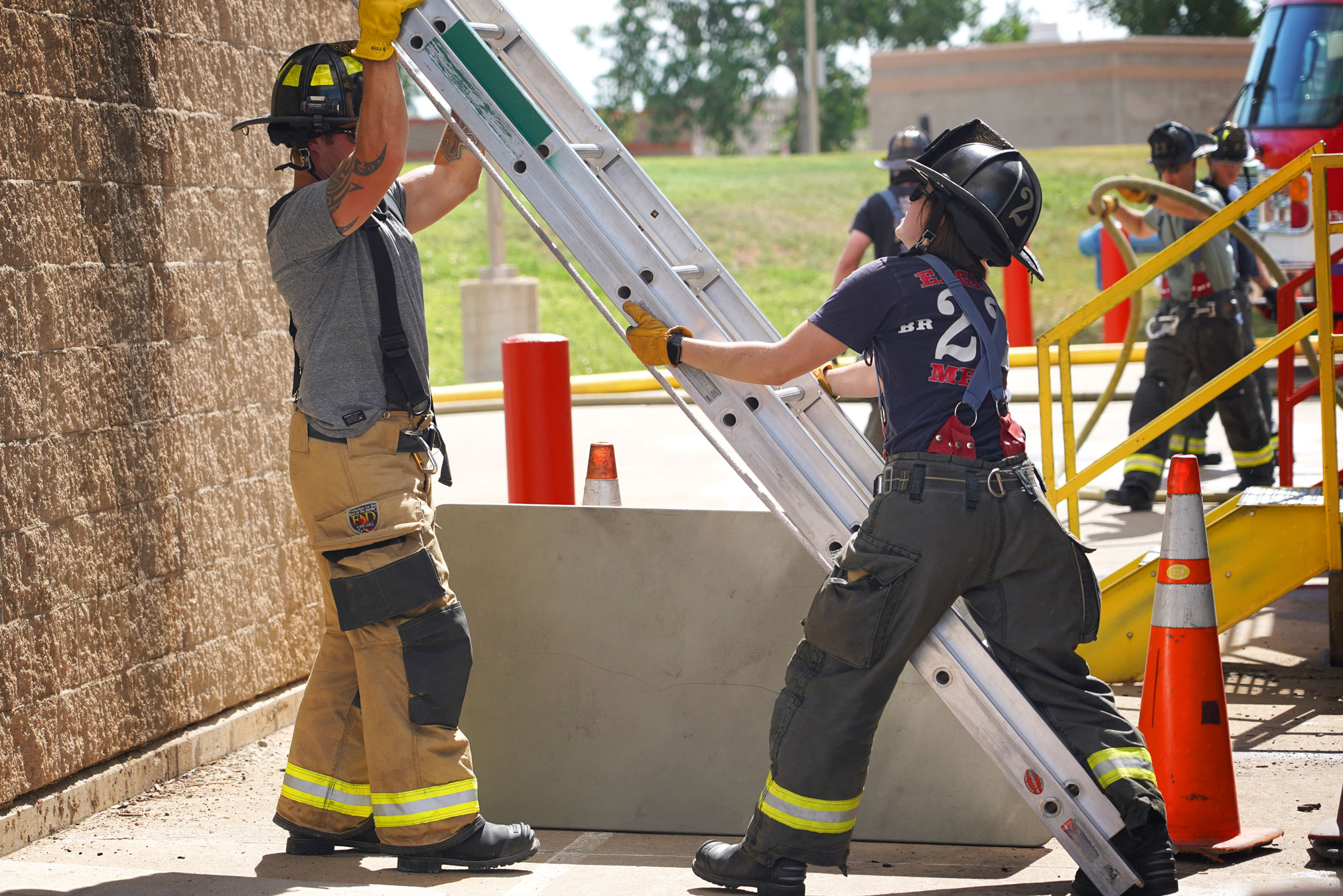 Featured image for “Big Ladder in a Little Space”